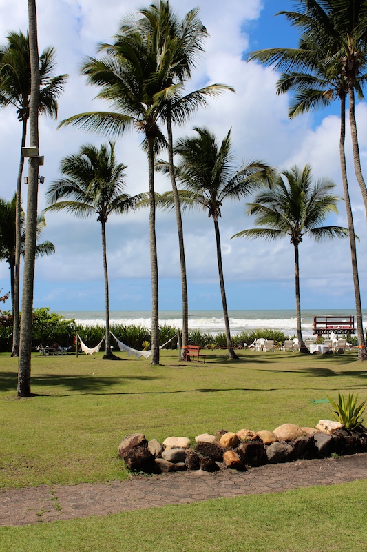 Cacau e literatura são atrações de Ilhéus